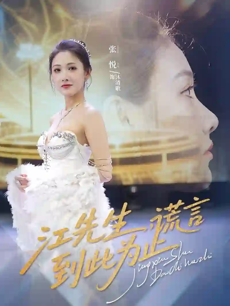 江先生谎言到此为止